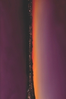 Anthyllis B0GWRR9NGJ Book Cover