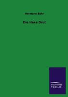 Die Hexe Drut: Osterreichischer Roman 8026855175 Book Cover