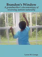 Brandon's Window 057800383X Book Cover