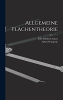 Allgemeine Flächentheorie 1017392897 Book Cover