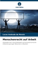 Menschenrecht auf Arbeit: Eingliederung in die Arbeitswelt und sozioökonomische Entwicklung junger Menschen in Brasilien 6206353206 Book Cover