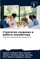 Стратегии создания и раб 6203643297 Book Cover