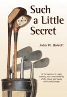 Such a Little Secret 1587261111 Book Cover