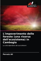 L'impoverimento delle foreste (una risorsa dell'ecosistema) in Cambogia: Le città dipendono dai suoi dintorni 6202837373 Book Cover