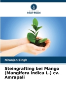 Steingrafting bei Mango (Mangifera indica L.) cv. Amrapali (German Edition) 6209312985 Book Cover