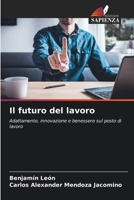 Il futuro del lavoro (Italian Edition) 6208556031 Book Cover