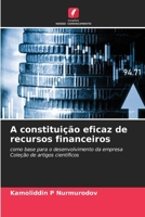 A constituição eficaz de recursos financeiros (Portuguese Edition) 6209854818 Book Cover