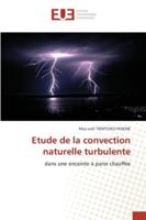 Etude de la convection naturelle turbulente 6202534206 Book Cover