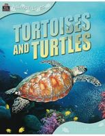 Animal Lives: Tortoises (Animal Lives (QEB Publishing)) 1420681109 Book Cover