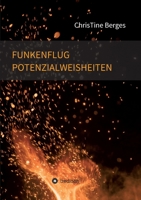 Funkenflug Potenzialweisheiten 3749779422 Book Cover