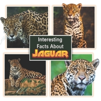 Interesting Facts About Jaguars: Children's Picture Book for Jaguars / Facts About Jaguars for Kids B0BSJLS65S Book Cover