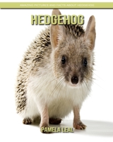 Hedgehog: Amazing Pictures and Facts about Hedgehog B084DL168H Book Cover