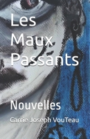 Les Maux Passants: Nouvelles (French Edition) B0DR7CHFSV Book Cover