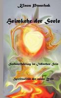 Heimkehr der Seele: Seelenerfahrung im irdischen Sein 3752891637 Book Cover