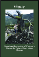 Scilpalq : Biocultural Restoration of Whitebark Pine on the Flathead Reservation 1934594369 Book Cover