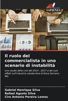 Il ruolo del commercialista in uno scenario di instabilità (Italian Edition) 6206662217 Book Cover