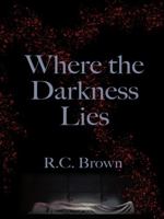 Where The Darkness Lies B0F5HXJDLK Book Cover