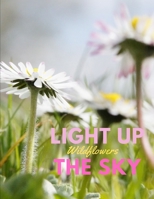 Light Up the Sky Wildflowers: Photobook of Wildflowers 1655962256 Book Cover
