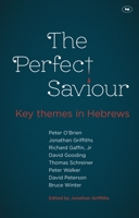 The Perfect Saviour 184474583X Book Cover