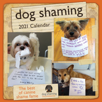 Dog Shaming 2021 Wall Calendar 1524857157 Book Cover