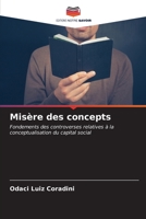 Misère des concepts: Fondements des controverses relatives à la conceptualisation du capital social (French Edition) B0CL81SNB9 Book Cover