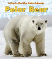 Polar Bear 1432953354 Book Cover