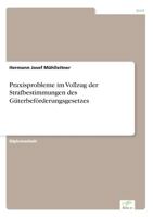 Praxisprobleme Im Vollzug Der Strafbestimmungen Des Guterbeforderungsgesetzes 3838672356 Book Cover