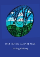 Där möten lämnat spår (Swedish Edition) 9180806554 Book Cover