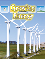 Incremento de la energia 1606947044 Book Cover