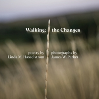 Walking the Changes 0917624084 Book Cover