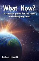 What Now?: A survival guide for the spirit in challenging times 1986723224 Book Cover