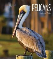 Pelicans 1682773477 Book Cover