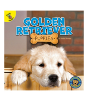 Golden Retriever Puppies 1731628552 Book Cover