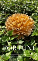 Miss Fortune If I wrote about you, I love and hate you. 9375275094 Book Cover