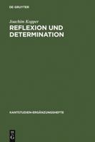 Reflexion Und Determination 3110066173 Book Cover