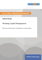 Working Capital Management 373793553X Book Cover