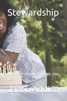 Stewardship: Whatever you mismanage, you lose B0FLTW21P9 Book Cover