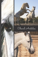 Cheval Andalou 1674410603 Book Cover