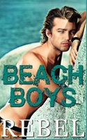 Beach Boys 1694791904 Book Cover