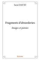 Fragments d'absurderies (French Edition) 2334102792 Book Cover