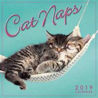 2019 Cat Naps Mini Calendar: By Sellers Publishing 1531904610 Book Cover