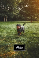 Rottweiler Dog Pup Puppy Doggie Notebook Bullet Journal Diary Composition Book Notepad - Meadow At Sunset: Cute Animal Pet Owner Composition Book with 100 Dotted Dot Grid Paper Pages in 6 x 9 Inch 1677291966 Book Cover