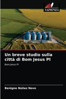 Un breve studio sulla città di Bom Jesus PI 6203525723 Book Cover