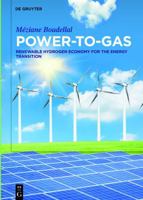 Power-to-Gas 3110558815 Book Cover