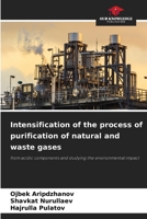 Intensification of the process of purification of natural and waste gases 620644998X Book Cover
