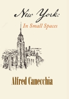 New York: In Small Spaces 1796094579 Book Cover
