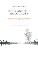 Jesus and the Holocaust: Reflections on Suffering and Hope 0385487657 Book Cover