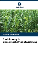 Ausbildung in Gemeinschaftsentwicklung 6204112783 Book Cover