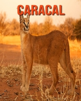 Caracal: Learn About Caracal and Enjoy Colorful Pictures B08LNBWCX5 Book Cover