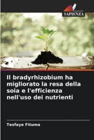 Il bradyrhizobium ha migliorato la resa della soia e l'efficienza nell'uso dei nutrienti 6205727587 Book Cover